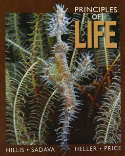 Principles of Life and BioPortal  9781429276481 Front Cover