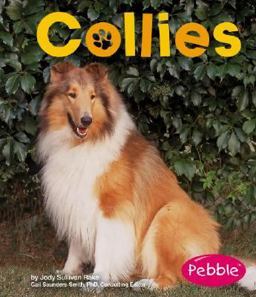 Collies Collies