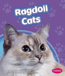 Ragdoll Cats
