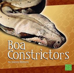 Boa Constrictors