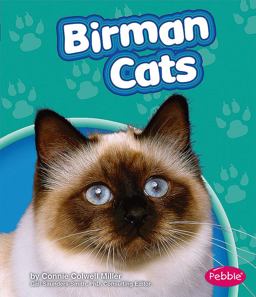 Birman Cats