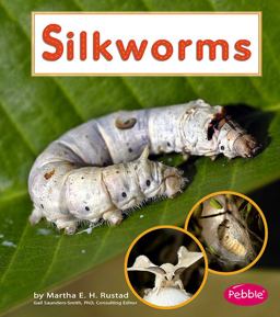 Silkworms