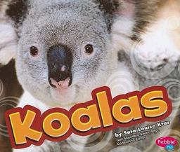 Koalas
