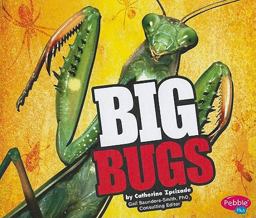 BIG Bugs