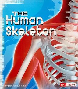 The Human Skeleton The Human Skeleton