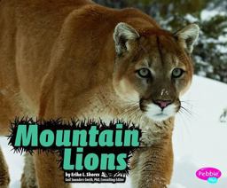 Mountain Lions Mountain Lions