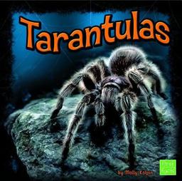 Tarantulas