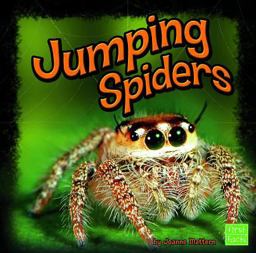 Jumping Spiders
