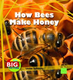 How Bees Make Honey