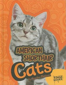 American Shorthair Cats