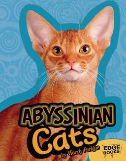 Abyssinian Cats