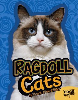 Ragdoll Cats