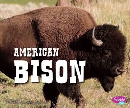 American Bison American Bison