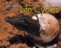 Life Cycles