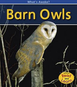 Barn Owls