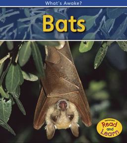 Bats
