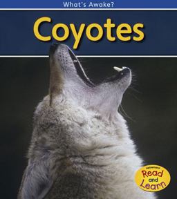 Coyotes
