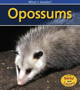 Opossums