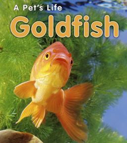 Goldfish