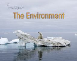 The Environment