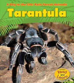 Tarantula