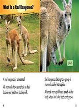 A Day in the Life: Desert Animals