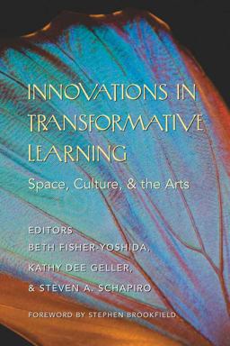 Innovations in Transformative Learning Space, Culture, and the Arts  9781433102912 Front Cover