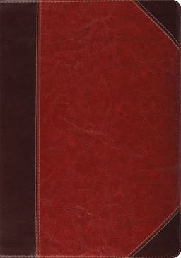ESV Study Bible (TruTone, Brown/Cordovan, Portfolio Design) 2009 9781433503795 Front Cover