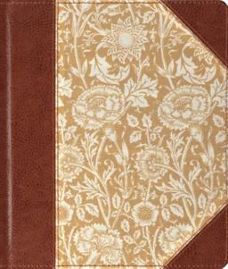 Journaling Bible 2009 9781433503863 Front Cover