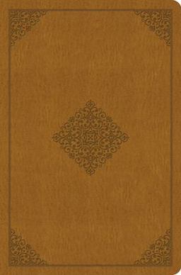 ESV Value Compact Bible (TruTone, Goldenrod, Ornament Design)  9781433547584 Front Cover