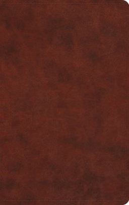 ESV Large Print Value Thinline Bible (TruTone, Chestnut)  9781433550263 Front Cover