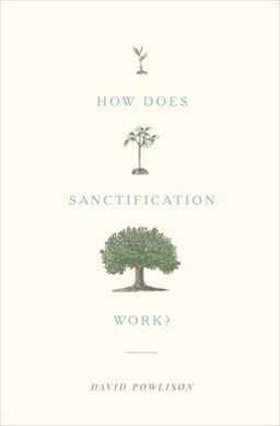 How Does Sanctification Work?  9781433556104 Front Cover
