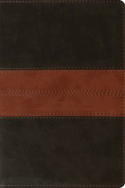 ESV Personal Reference Bible (TruTone, Deep Brown/Tan, Trail Design)  9781433557804 Front Cover