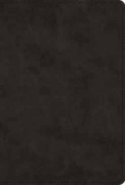 Greek New Testament, Produced at Tyndale House, Cambridge (TruTone, Black)  9781433558566 Front Cover