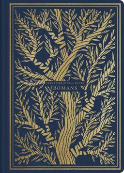 ESV Illuminated Scripture Journal Romans (Paperback)  9781433564819 Front Cover
