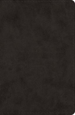 ESV Single Column Legacy Bible  9781433569470 Front Cover
