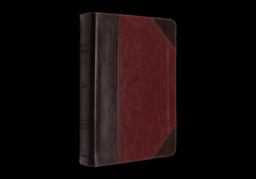 ESV Reader's Bible (TruTone, Brown/Cordovan, Portfolio Design) 2025 9781433599538 Front Cover