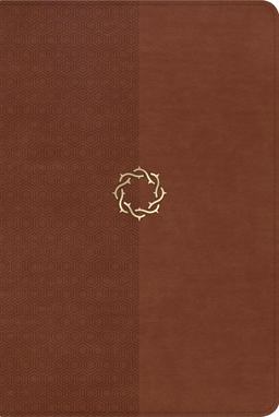 The HCSB Essential Teen Study Bible, Walnut LeatherTouch