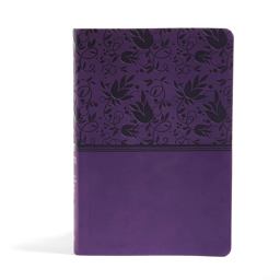 NIV Rainbow Study Bible, Purple LeatherTouch Indexed  9781433616587 Front Cover