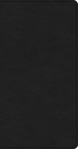 CSB Share Jesus Without Fear New Testament, Black LeatherTouch