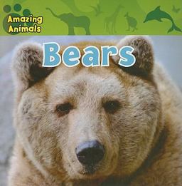 Bears Bears
