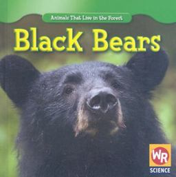 Black Bears