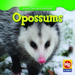 Opossums