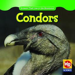 Condors