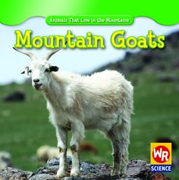 Mountain Goats