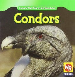 Condors