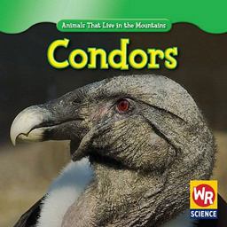 Condors