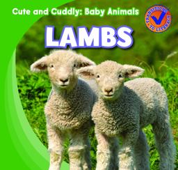 Lambs