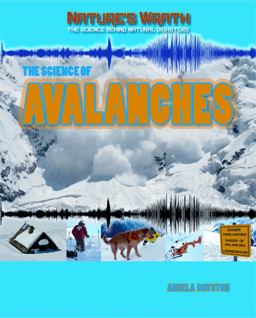 The Science of Avalanches