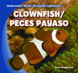Clownfish / Peces Payaso